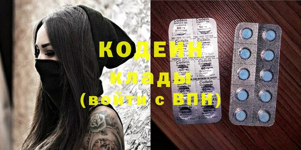 PSILOCYBIN Алзамай