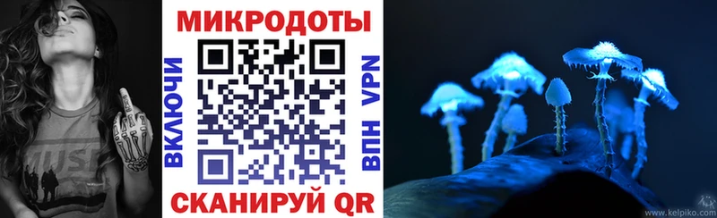 Галлюциногенные грибы Psilocybe  Заводоуковск 